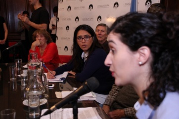 Diputados porteños criticaron la política de Salud Mental de la Ciudad