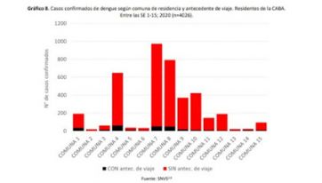 En tiempos de cuarentena: el hambre y el dengue azotan la comuna 7