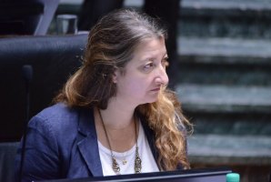La Legislatura trató el traspaso de la Justicia