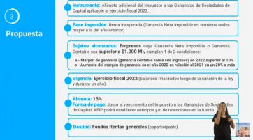 Punto por punto, en qué consiste el proyecto del impuesto a la renta inesperada