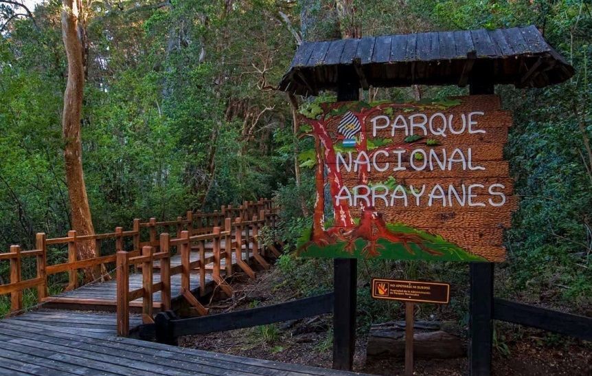 Tragedia en Villa La Angostura: un turista perdió la vida en un sendero clausurado