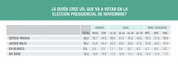 El peso de los indecisos: los votos que pueden definir el balotaje entre Massa y Milei