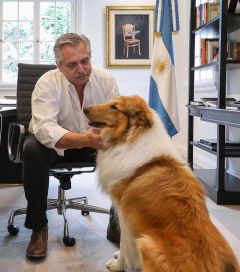 Los otros integrantes de la familia presidencial: estos son los perritos que pasaron por la Quinta de Olivos