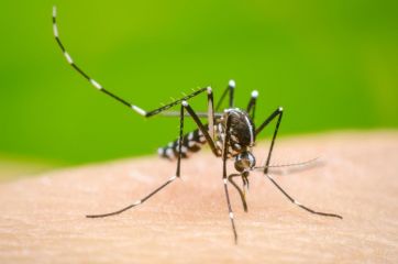 “Muchos días de angustia”, el fuerte relato de la familia del hombre que murió tras contraer dengue