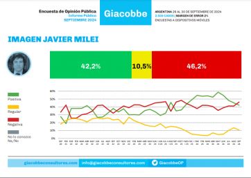 Milei y una nueva encuesta que refleja la caída en su imagen