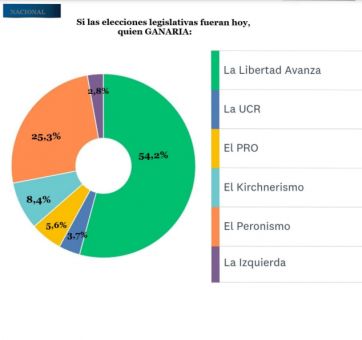 Con la oposición fragmentada, La Libertad Avanza se corta sola de cara al 2025