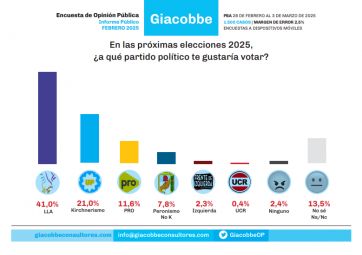 Seguridad, imagen y elecciones: los temas que marcan la agenda de los bonaerenses