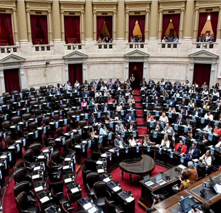Diputados rechazó el veto de Milei a la ley de discapacidad