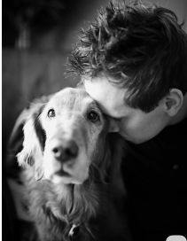 Avance revolucionario: pastillas para alargar la vida de nuestros perros