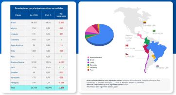 La industria automotriz puso el freno de mano: cayeron fuerte la producción y las ventas
