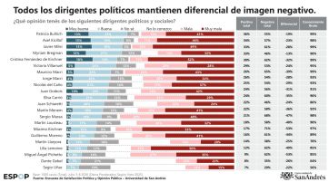 El asco contra la esperanza: qué sentimientos genera Javier Milei entre los argentinos